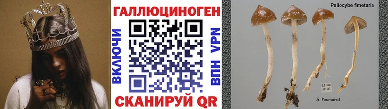 Галлюциногенные грибы Cubensis  Лихославль 